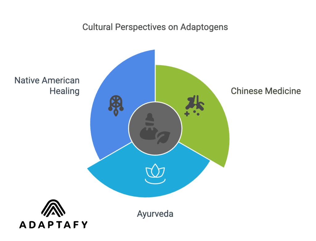 Diagram illustrating the long-standing recognition of adaptogens in traditional medicinal practices across cultures, highlighting Chinese medicine, Ayurveda, and Native American healing, showcasing how adaptogenic herbs have been used to enhance vitality, combat fatigue, and restore balance in the body.