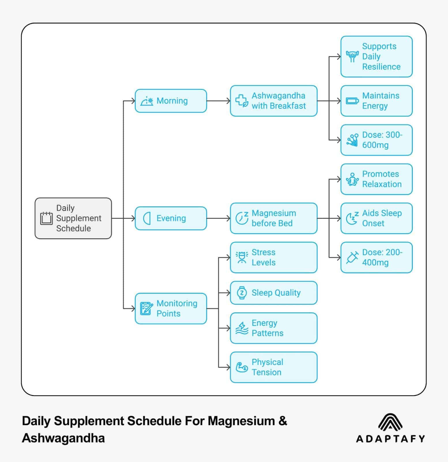 Daily supplement scheduling flowchart showing morning Ashwagandha (300-600mg with breakfast) and evening Magnesium (200-400mg before bed) timing, plus monitoring points for stress, sleep, energy, and physical tension. Ashwagandha vs Magnesium by Adaptafy