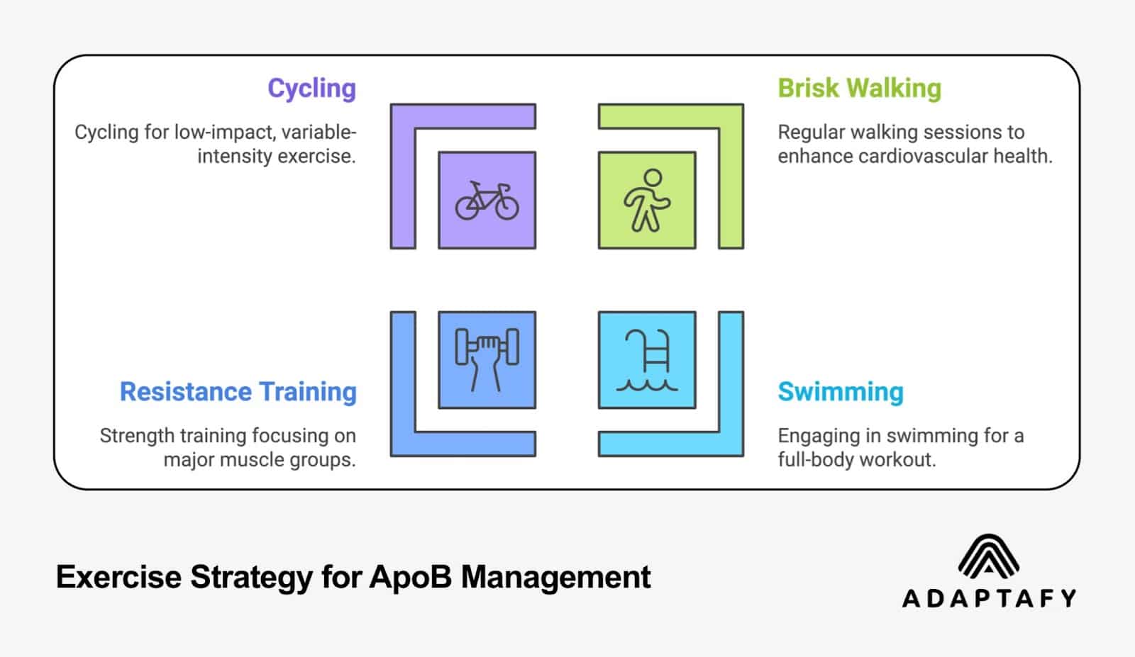 Exercise strategy diagram for ApoB management featuring four types of activities: Cycling (low-impact), Brisk Walking (cardiovascular), Resistance Training (strength), and Swimming (full-body), each with descriptive icons and explanations by Adaptafy