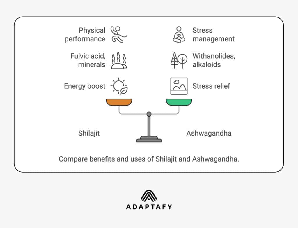 a graphical representation of benefits of shilajit vs ashwagandha