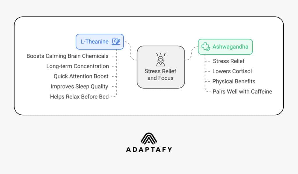 A graphical representation showing the differences between ashwagandha vs L-theanine for stress relief.