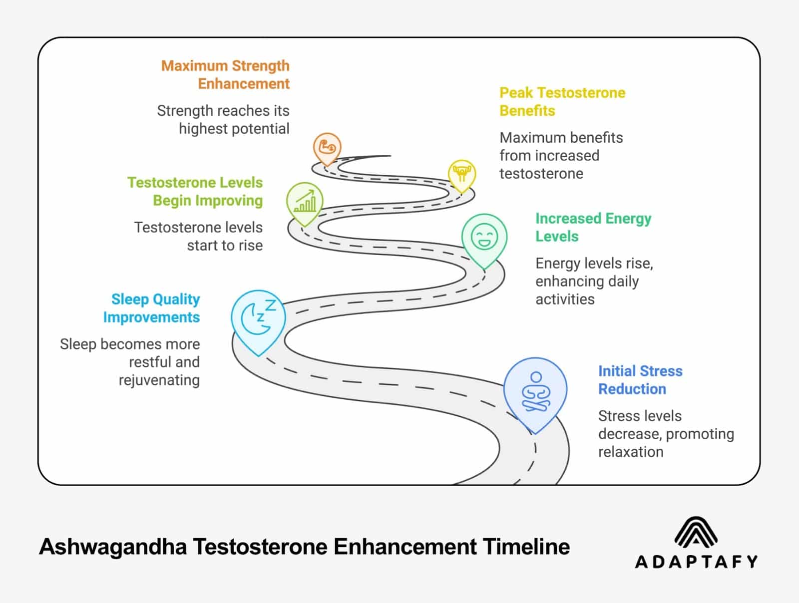 A timeline diagram showing the progression of benefits from taking ashwagandha, including increased testosterone levels, improved sleep quality, reduced stress, and enhanced energy and strength.