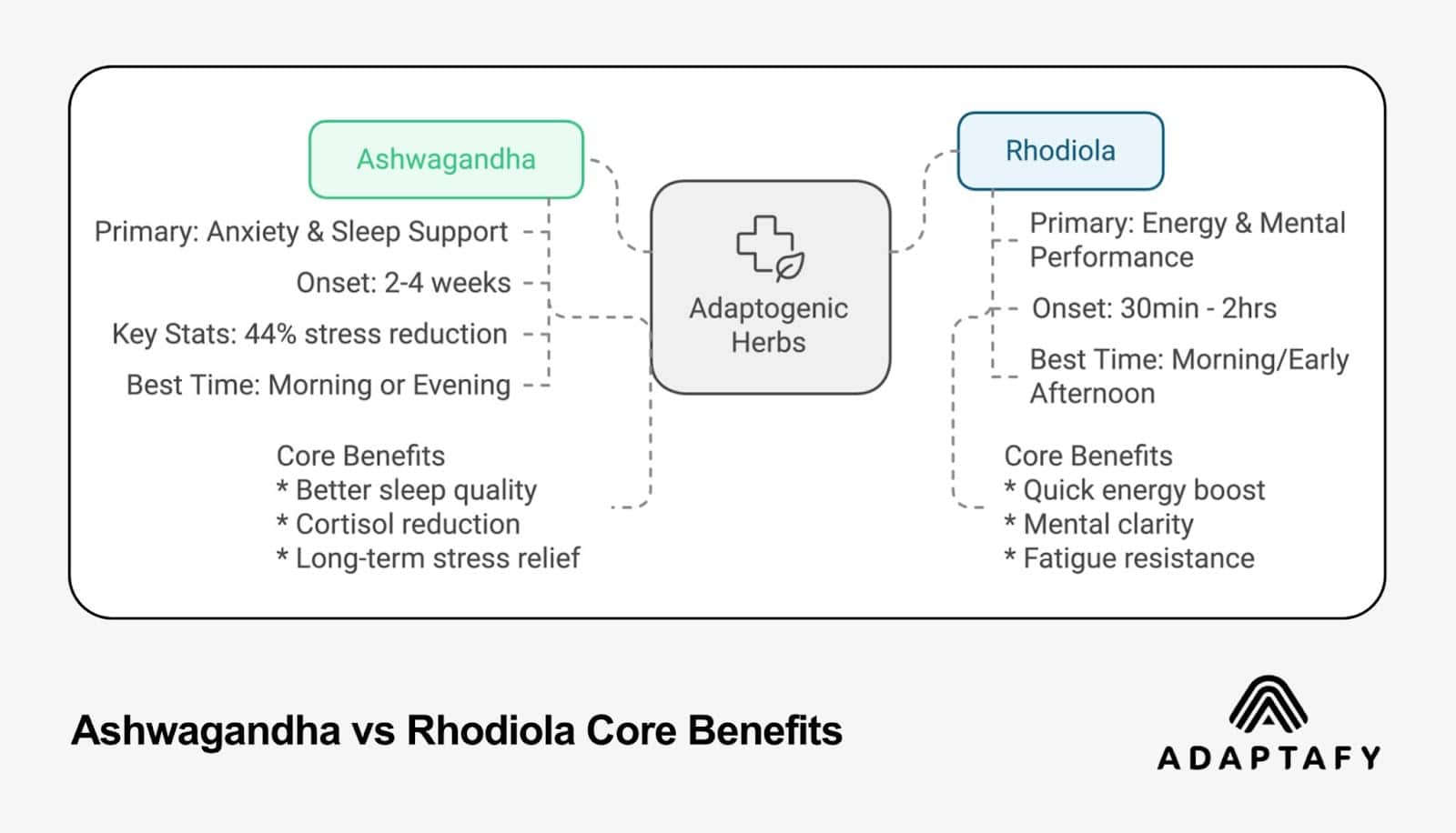 Comparison infographic showing core benefits of Ashwagandha vs Rhodiola adaptogenic herbs. Details onset times, key stats, timing recommendations, and core benefits including sleep support for Ashwagandha and energy boost for Rhodiola. Created by Adaptafy.