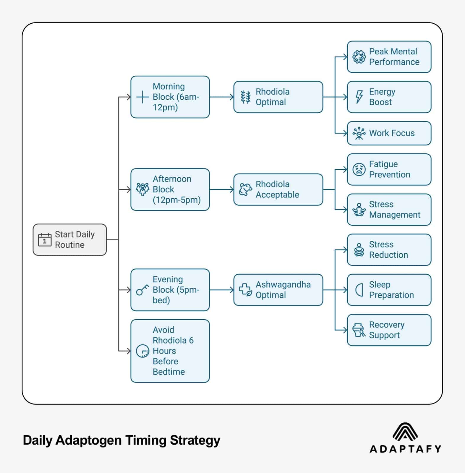 Flowchart diagram illustrating daily adaptogen timing strategy, showing three time blocks (Morning 6am-12pm, Afternoon 12pm-5pm, Evening 5pm-bed) with optimal timing for Rhodiola and Ashwagandha supplementation. Includes specific benefits and warning about pre-bedtime usage. Created by Adaptafy.