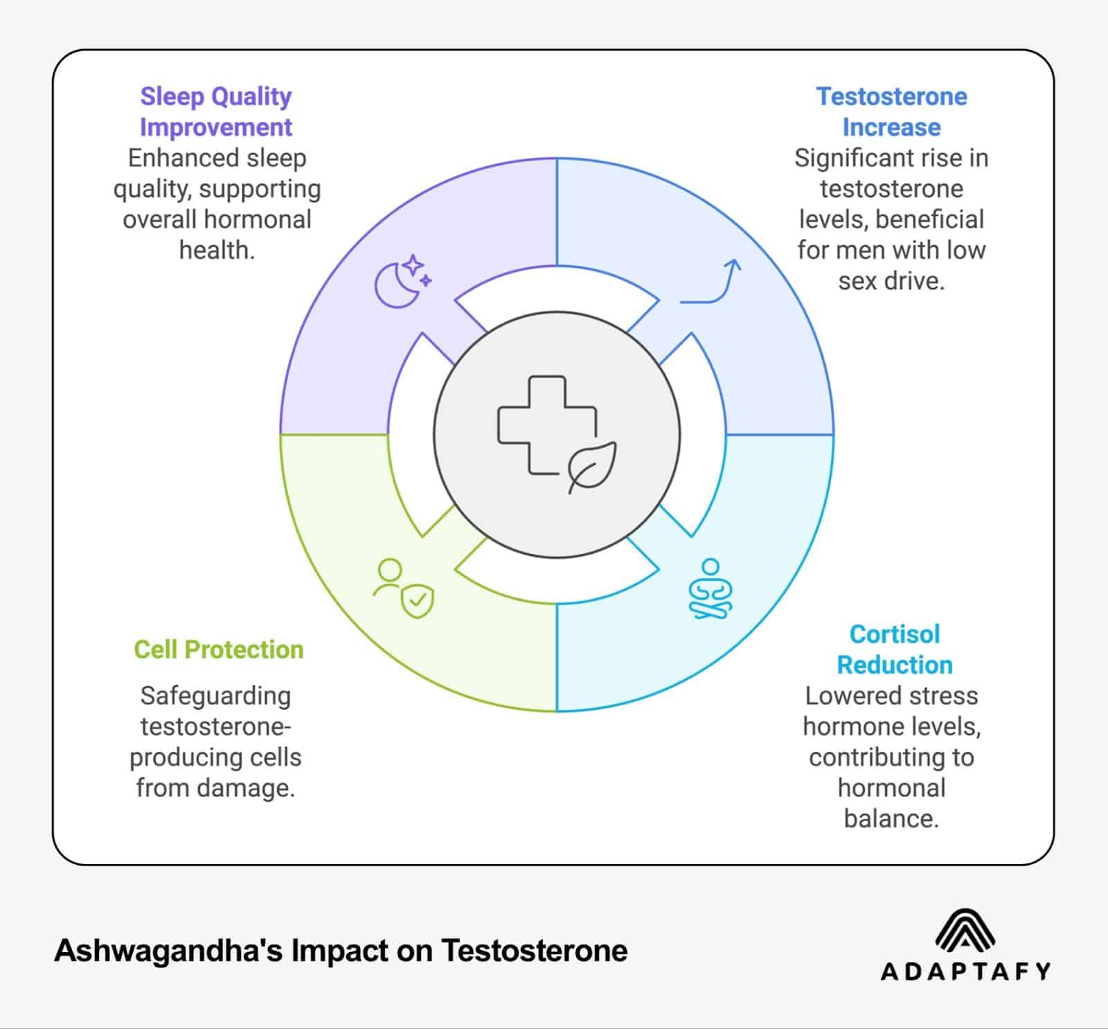 A circular infographic illustrating the various impacts of ashwagandha on testosterone, including increased testosterone levels, sleep quality improvement, cell protection, and cortisol reduction.