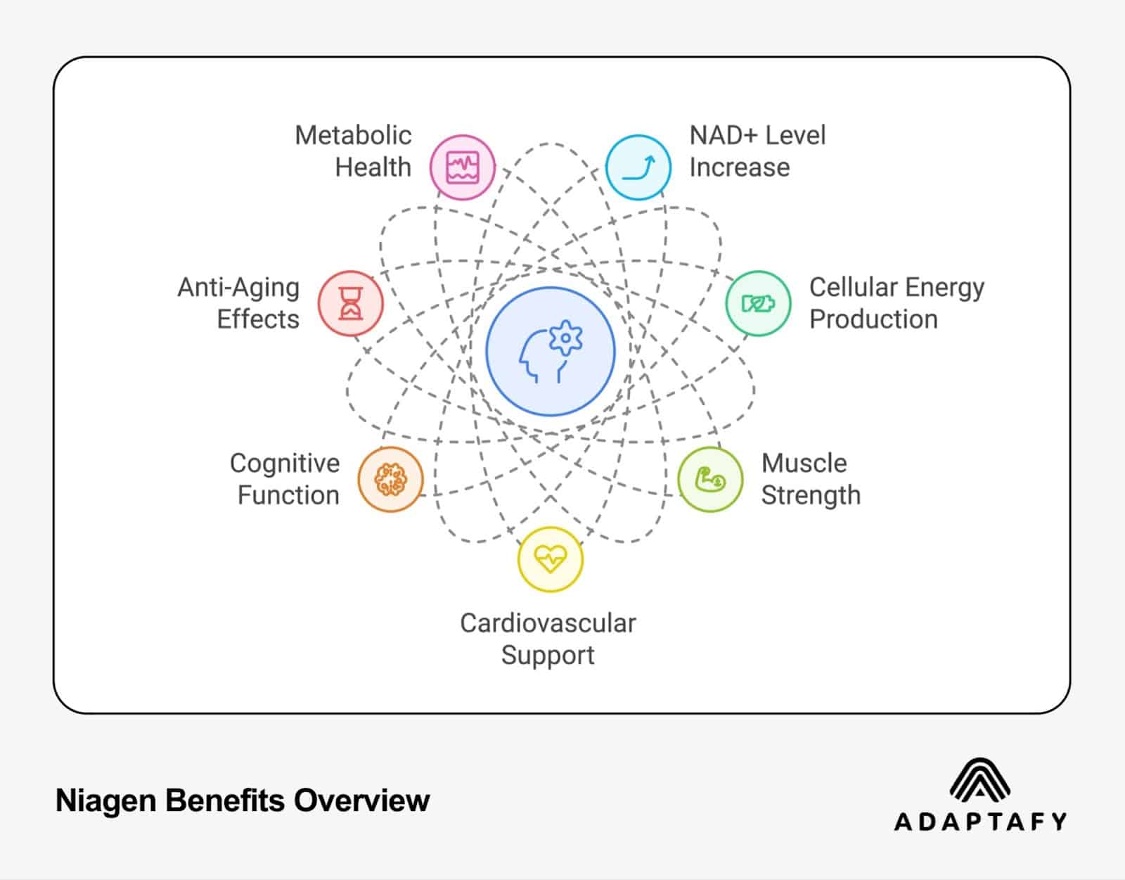 Niagen Benefits Overview diagram showing seven interconnected benefits: Metabolic Health, NAD+ Level Increase, Cellular Energy Production, Muscle Strength, Cardiovascular Support, Cognitive Function, and Anti-Aging Effects, arranged in a circular pattern around a central brain icon