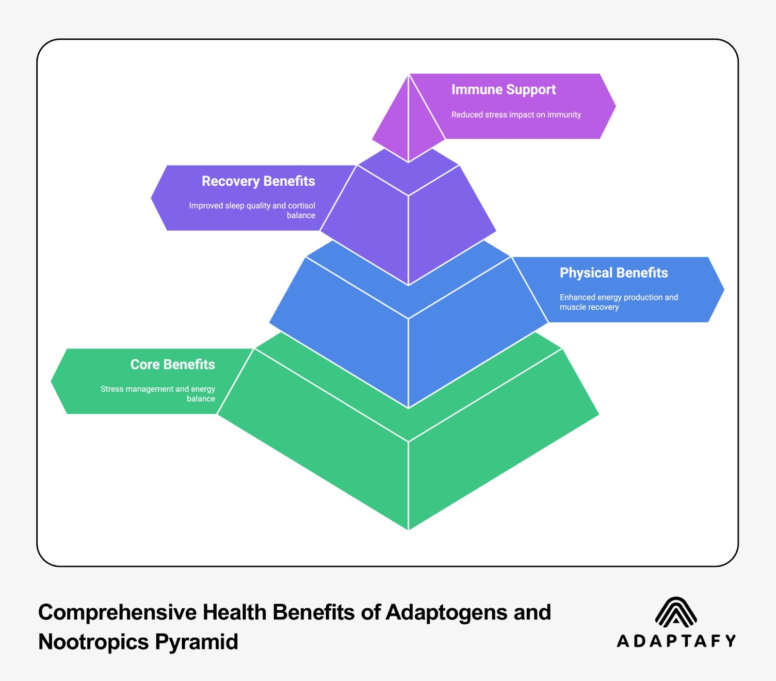 Comprehensive health benefits pyramid diagram of adaptogens and nootropics showing core benefits, physical benefits, recovery benefits, and immune support