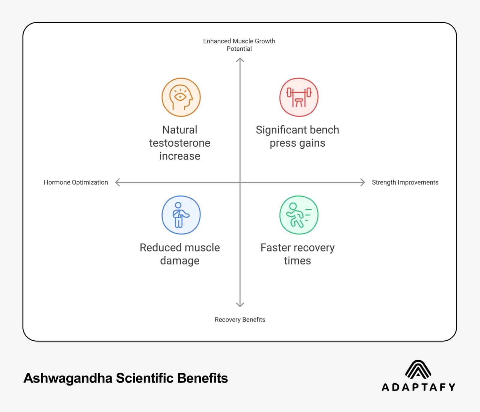 Scientific benefits quadrant diagram of Ashwagandha showing four key benefits: natural testosterone increase, significant bench press gains, reduced muscle damage, and faster recovery times, organized around axes of Hormone Optimization and Strength Improvements