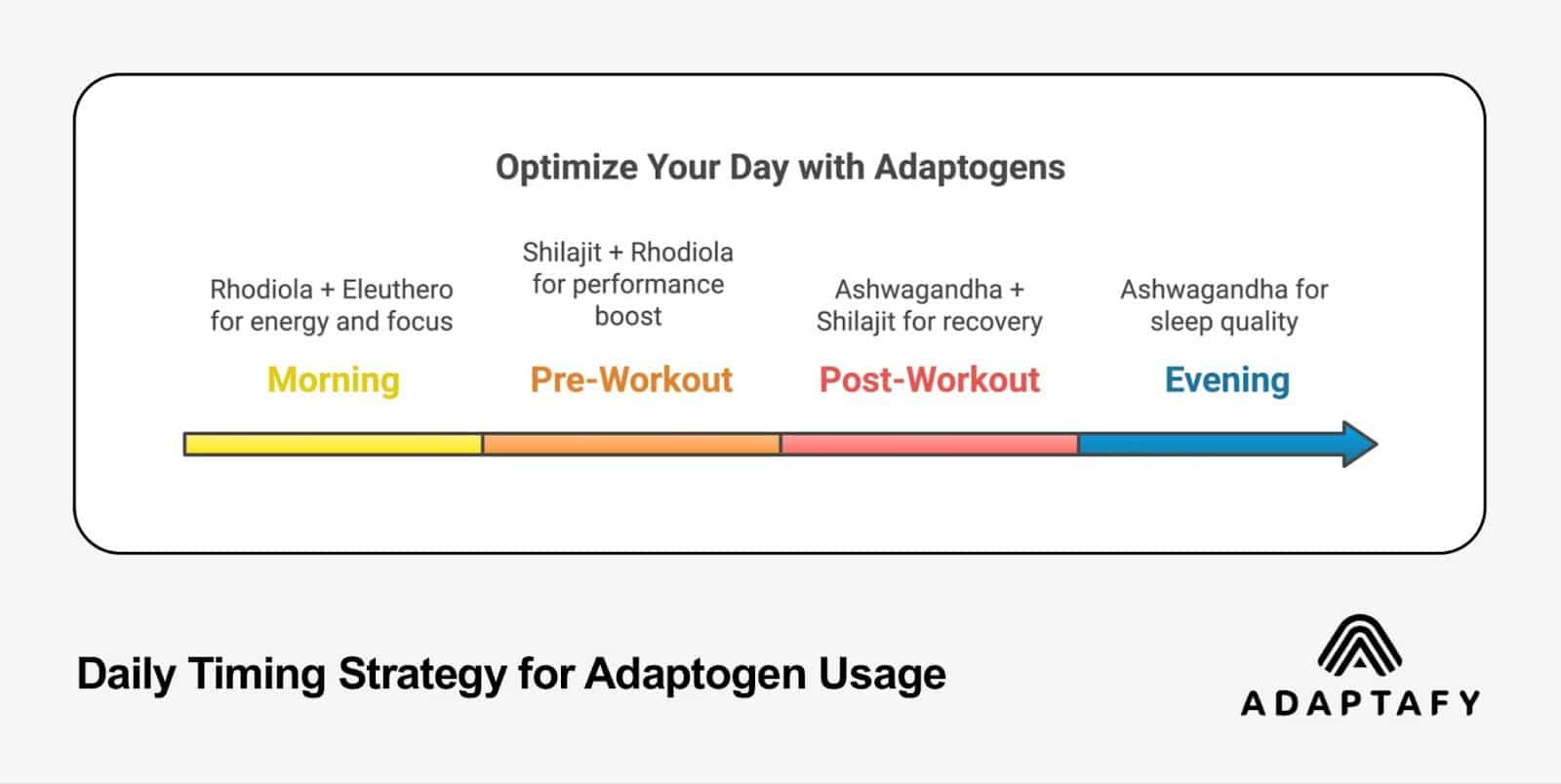 Daily timing strategy timeline for optimal adaptogen usage showing morning, pre-workout, post-workout, and evening supplement combinations