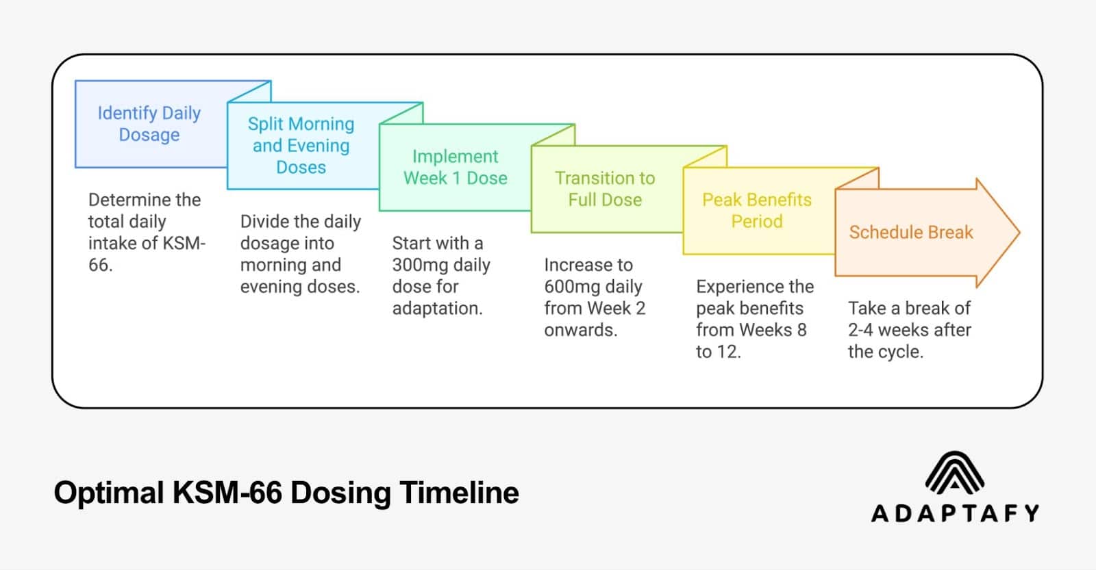 Step-by-step timeline showing optimal KSM-66 dosing protocol from initial daily dosage through to scheduling breaks, displayed as connected gradient-colored boxes