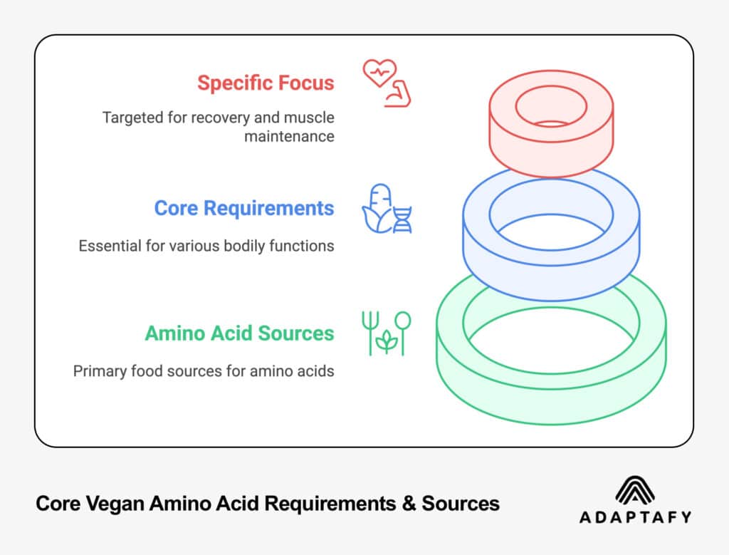 Image of Core Vegan Amino Acid Requirements & Sources; Specific Sources, Core Requirements, Amino Acid Sources; by ADAPTAFY