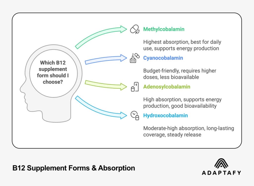 Mind map diagram showing four types of B12 supplements (Methylcobalamin, Cyanocobalamin, Adenosylcobalamin, and Hydroxocobalamin) with their absorption rates and key benefits | ADAPTAFY