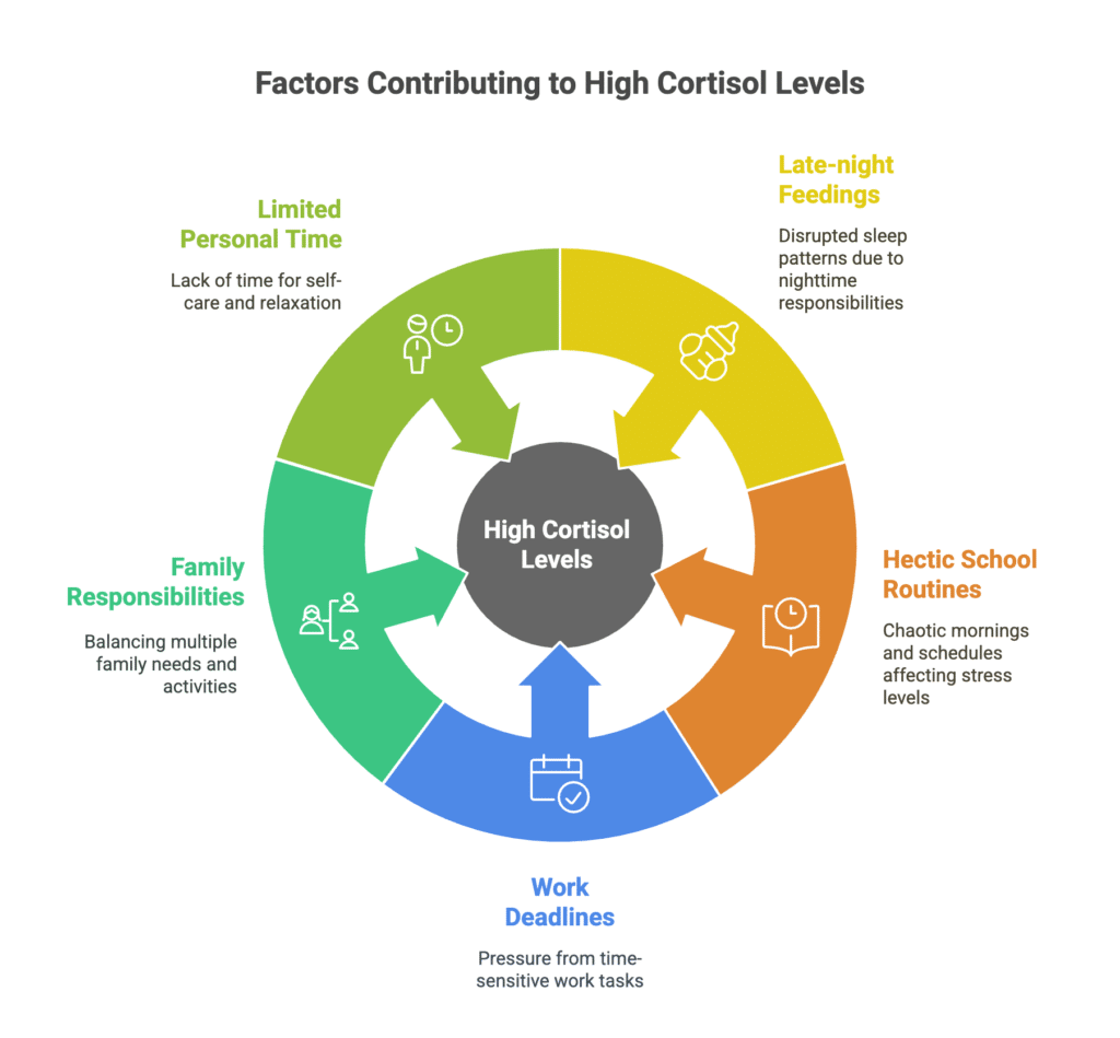 A circular diagram depicting the factors contributing to high cortisol levels.  Which include late-night feedings, hectict school routines, work deadlines, family responsibilities, and limited personal time. By Adaptafy 