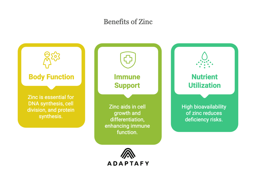 Diagram on zinc's role: Crucial for DNA synthesis and cell division, supports the immune system through cell growth, and enhances nutrient utilization due to high bioavailability.