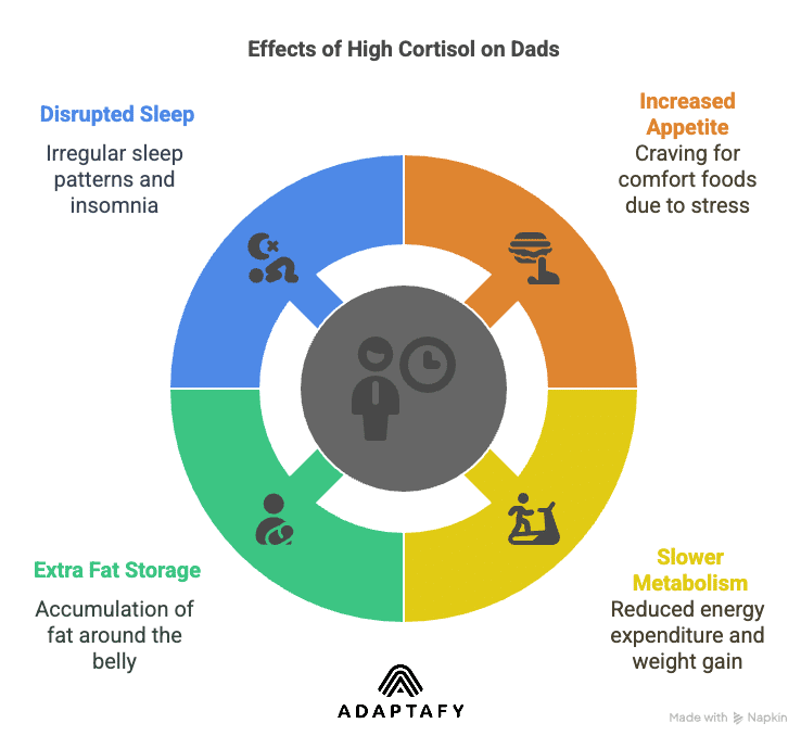 Diet for High Cortisol: How Dads Can Combat Weight Gain 2 Diagram explaining cortisol's impact on metabolism: stress increases cortisol, leading to higher appetite, slower metabolism, more belly fat, and disrupted sleep, especially for dads. Diet for High Cortisol article.