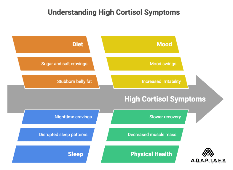 Diet for High Cortisol: How Dads Can Combat Weight Gain 3 Diagram shows signs of high cortisol in busy dads: belly fat, poor sleep, cravings, mood swings, brain fog, fatigue, less muscle, slower recovery. Diet for High Cortisol article.